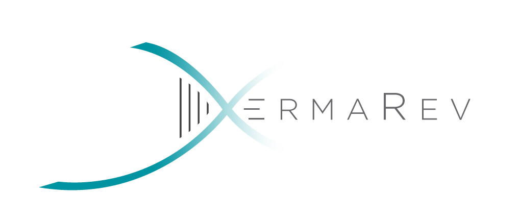 DermaRev-Logo_RGB_Full-Colour (transparent)